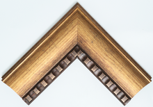 S753 Bronze (NEW!)